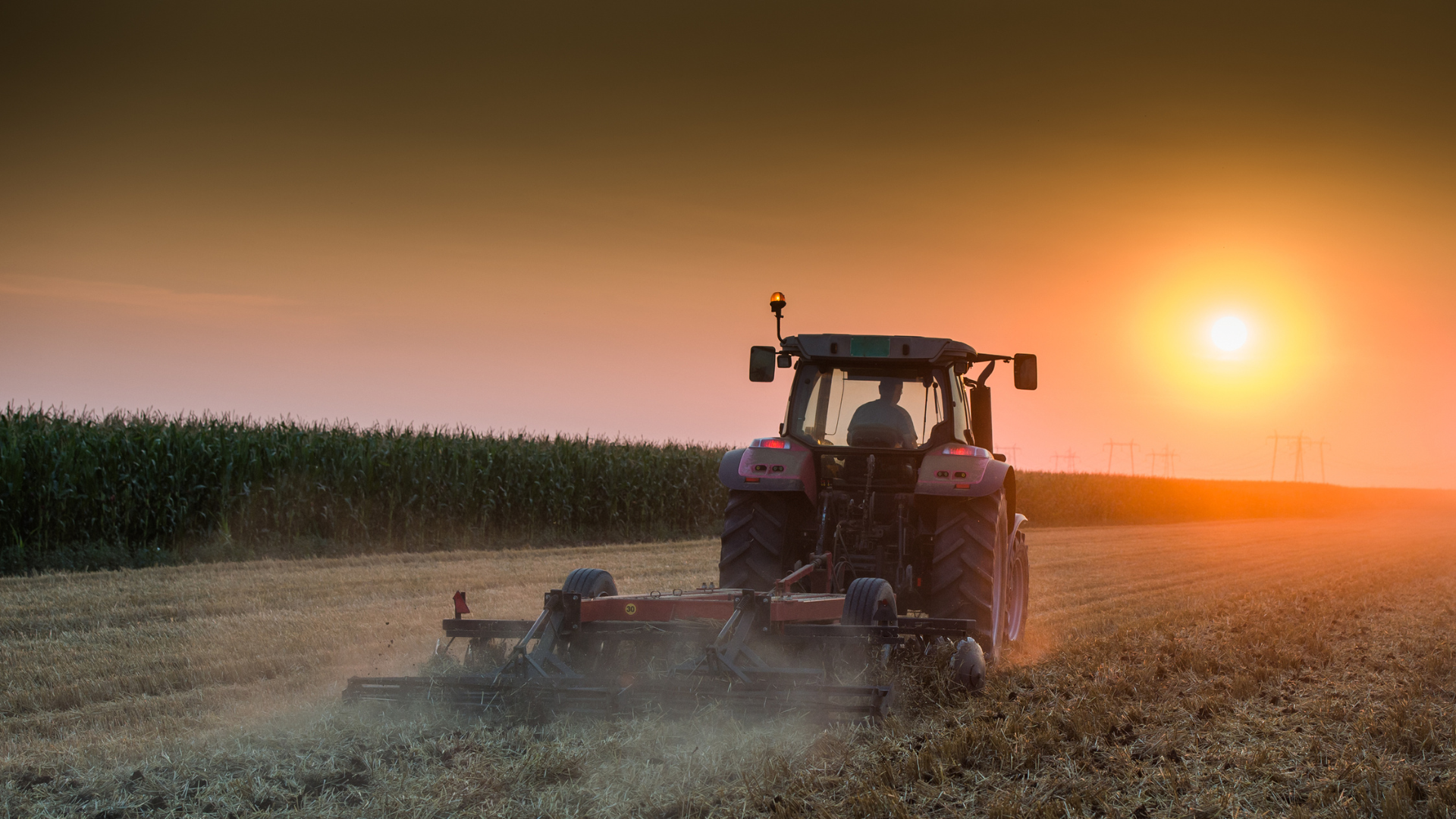 Le Compostage enrichir les sols agricoles