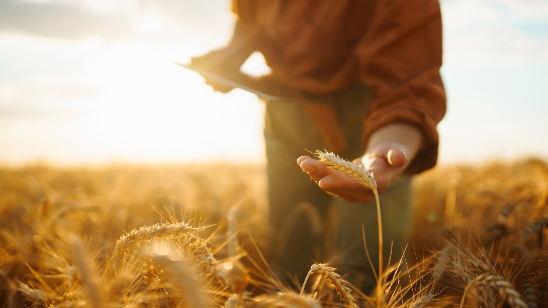 La Norme NFU44 095 regeneration sols